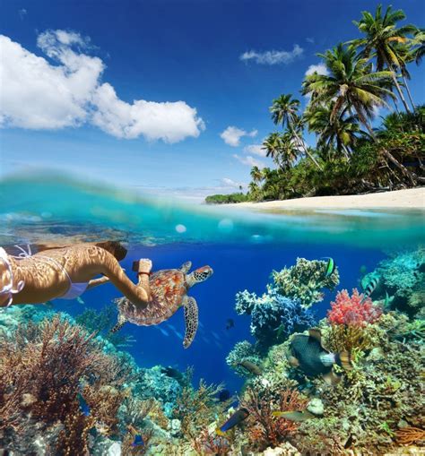 Best snorkeling in the world. Things To Know About Best snorkeling in the world. 